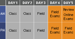 BPI Training Chart