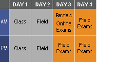 BPI Training Chart