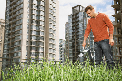 Green Roof